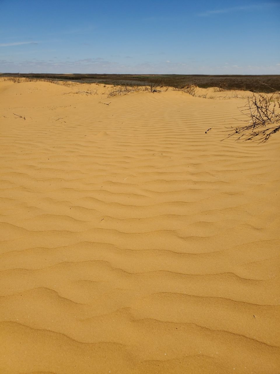 Астрахань и Элиста. Экскурсионная поездка | 30.04-04.05.2025. Галерея Фантим