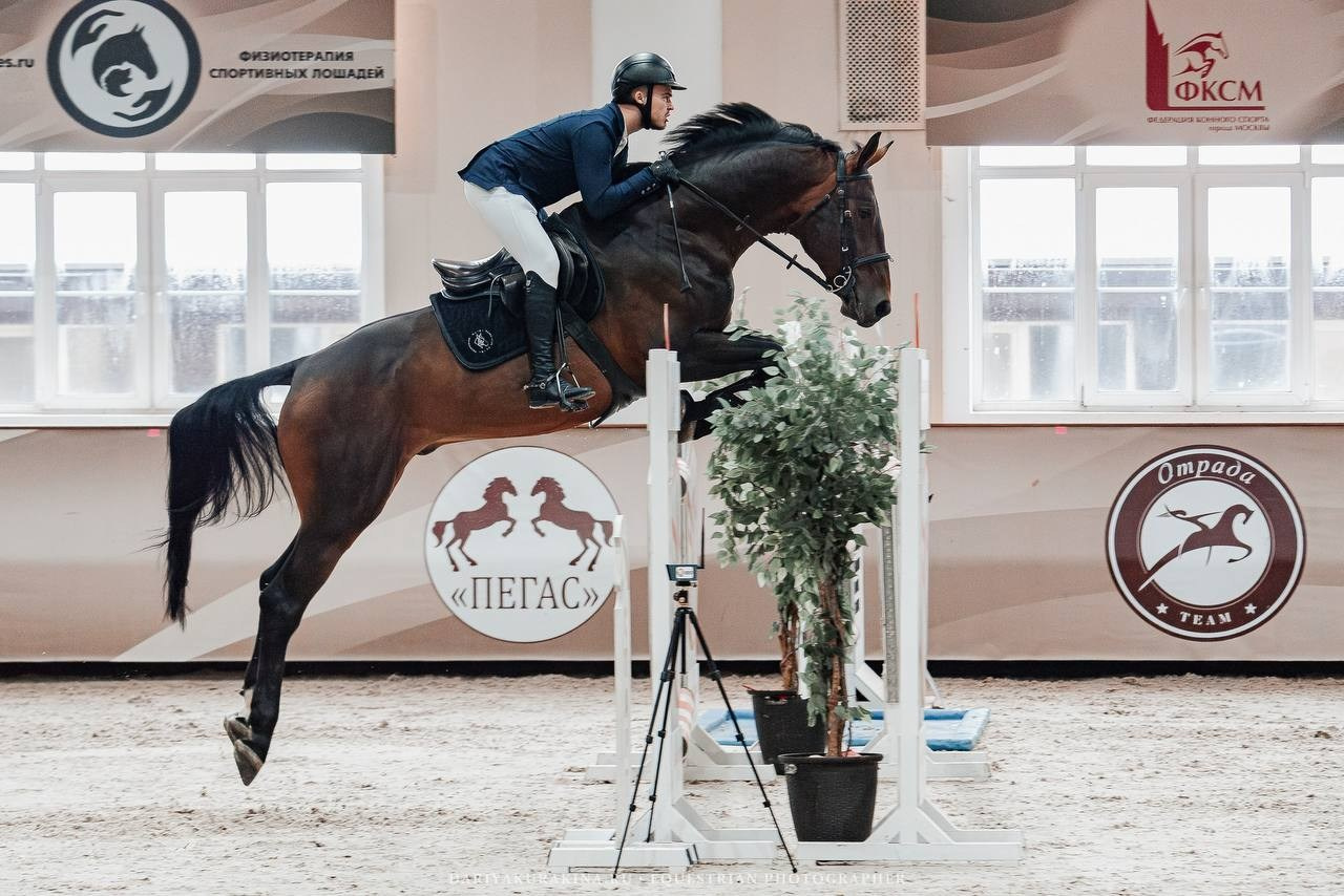 ВСЕРОССИЙСКИЕ СОРЕВНОВАНИЯ ПО КОНКУРУ НА ПРИЗЫ КСК ВИВАТ, РОССИЯ!. Куракина Дарья • Конный фотограф