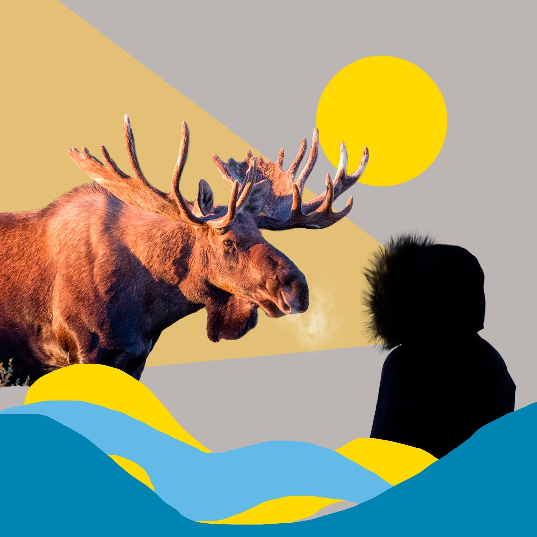 Коллажи из фотографий. Колентеева Наталья/фотограф