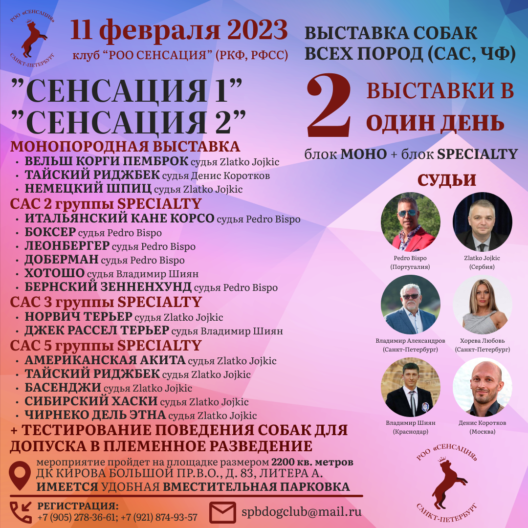 Итальянский кане корсо. Кинологический клуб РКФ РФСС СЕНСАЦИЯ