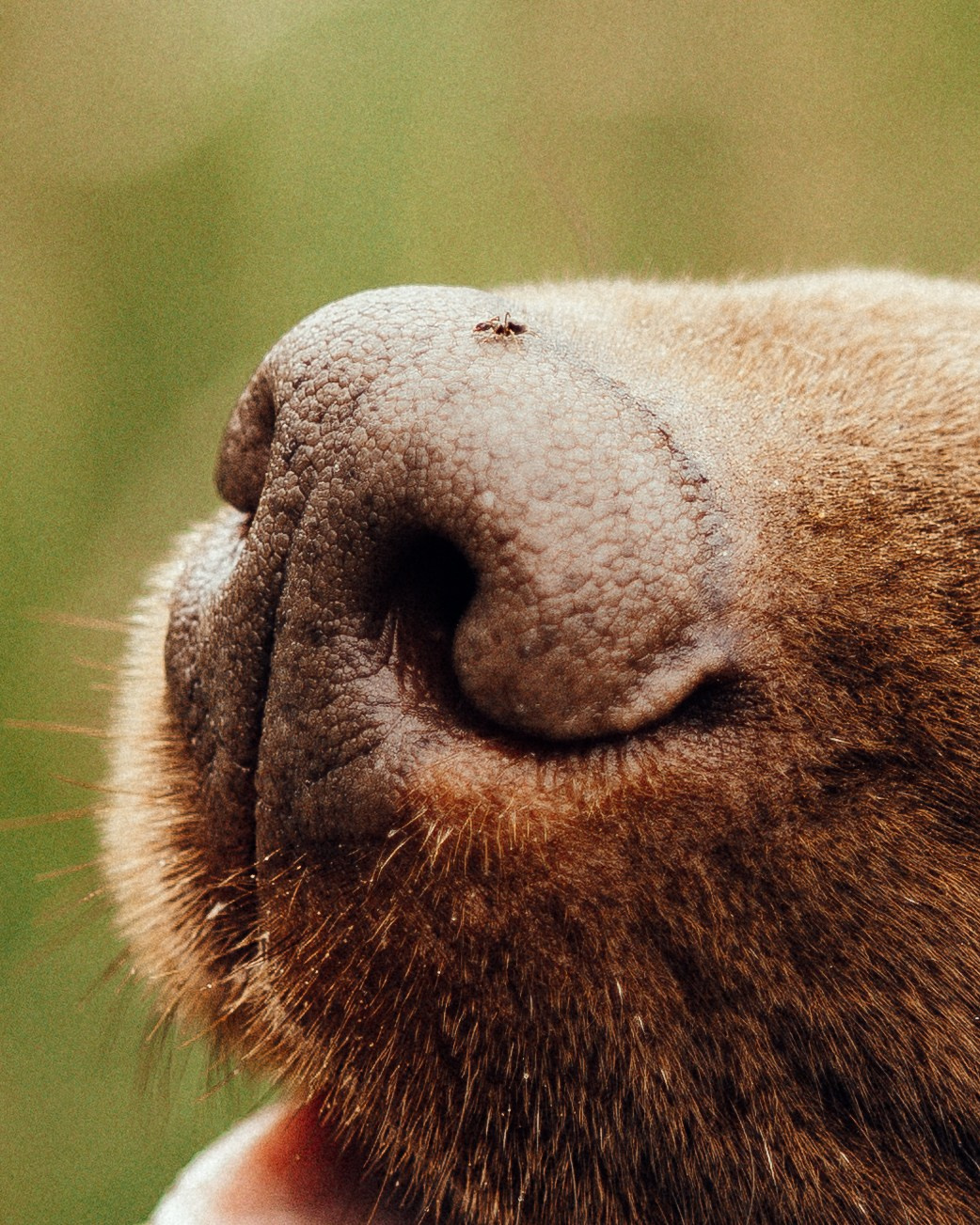 Вальда и Настя. Анна Самохина. Фотограф. Москва