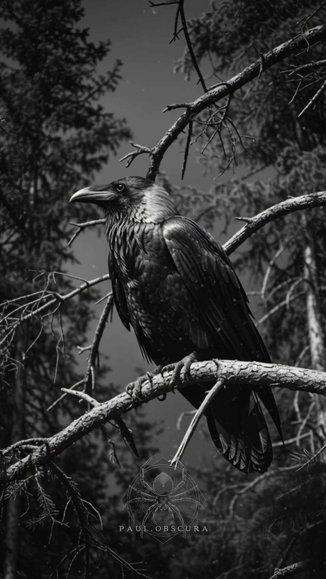 AI Контент. Фотопродакшн продающего контента