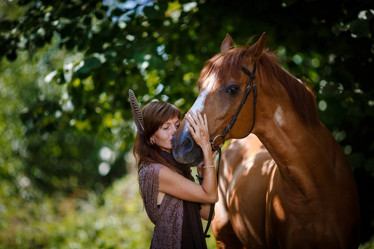 C лошадками 2019