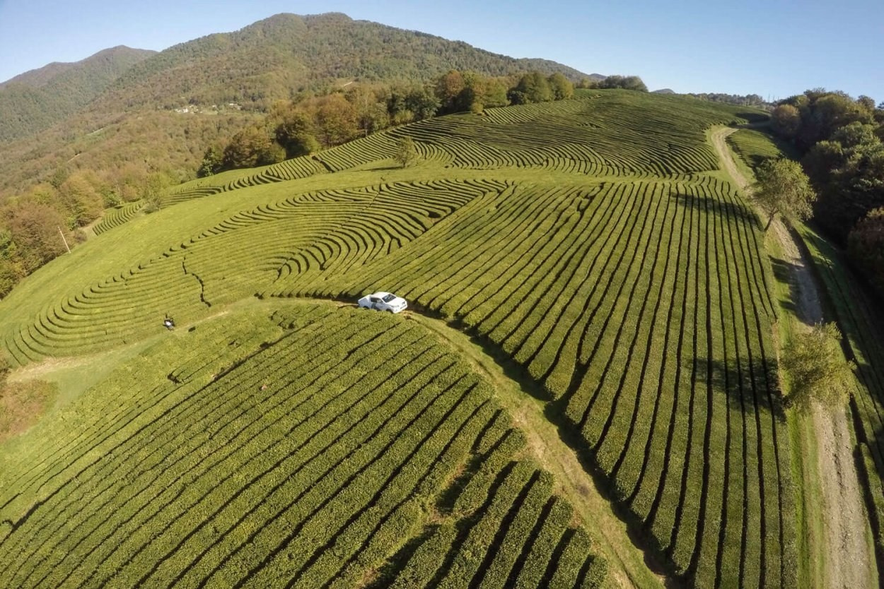 КРАСИВЫЕ МЕСТА В СОЧИ. Свадебный и семейный фотограф/видеограф в Краснодаре Наталья Осинская