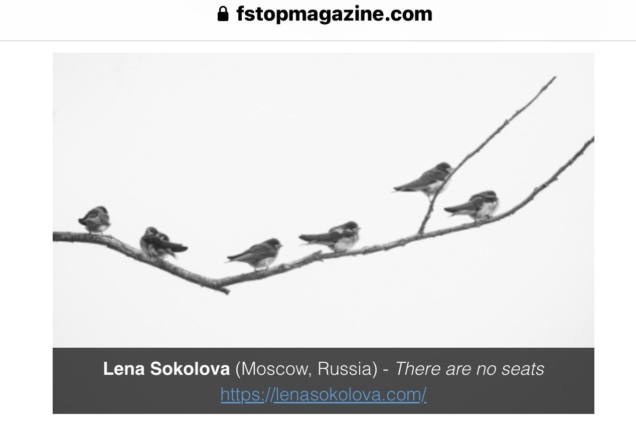 F-Stop. Фотографии Лены Соколовой