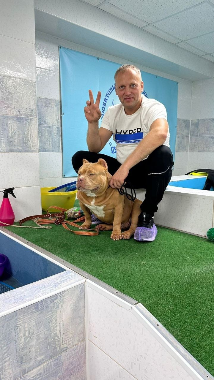 купить амбулли Архангельск