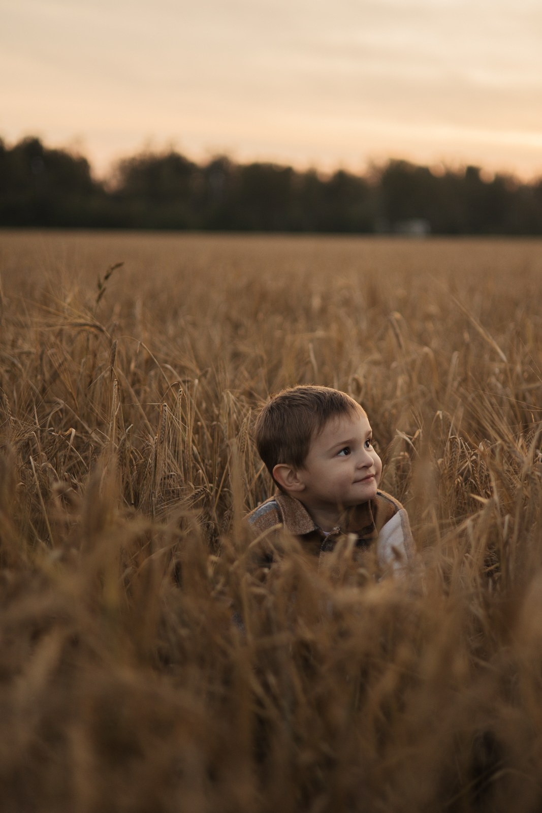 Семья в поле. Фотограф в Москве и Домодедово Ирина Коростелева