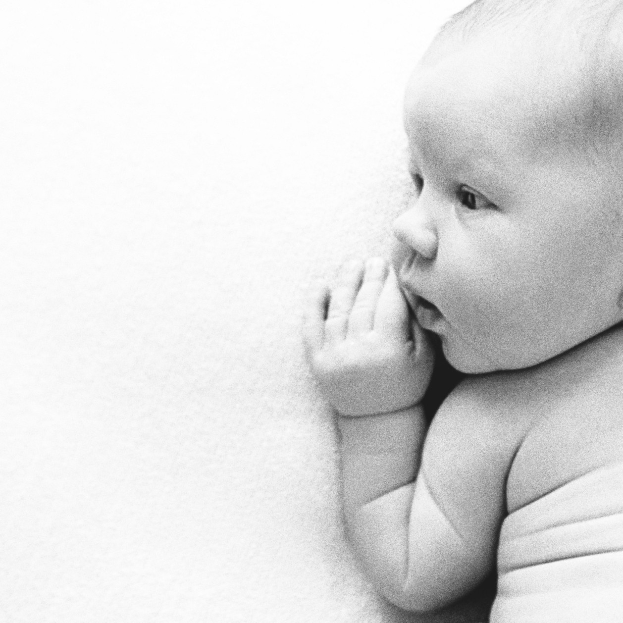 София. Лена Крутова. Фотограф в Москве