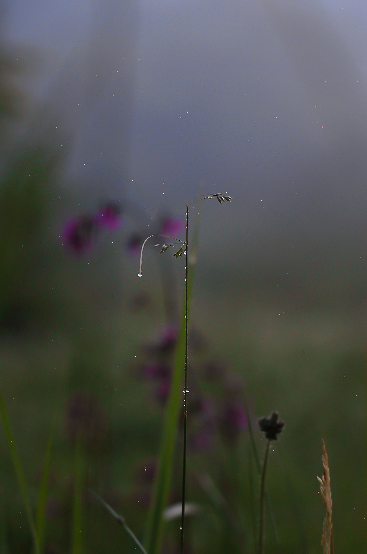Landscape фото. Фотограф и художник Kerry Moore