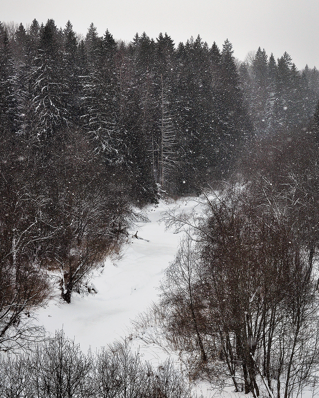 Landscape фото. Фотограф и художник Kerry Moore