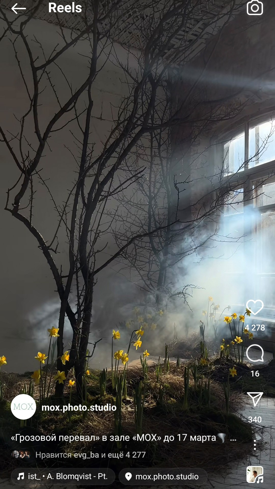 Весенняя фотосессия в студии. Свадебный и семейный фотограф в Ростове-на-Дону. Андрей Сайфутдинов