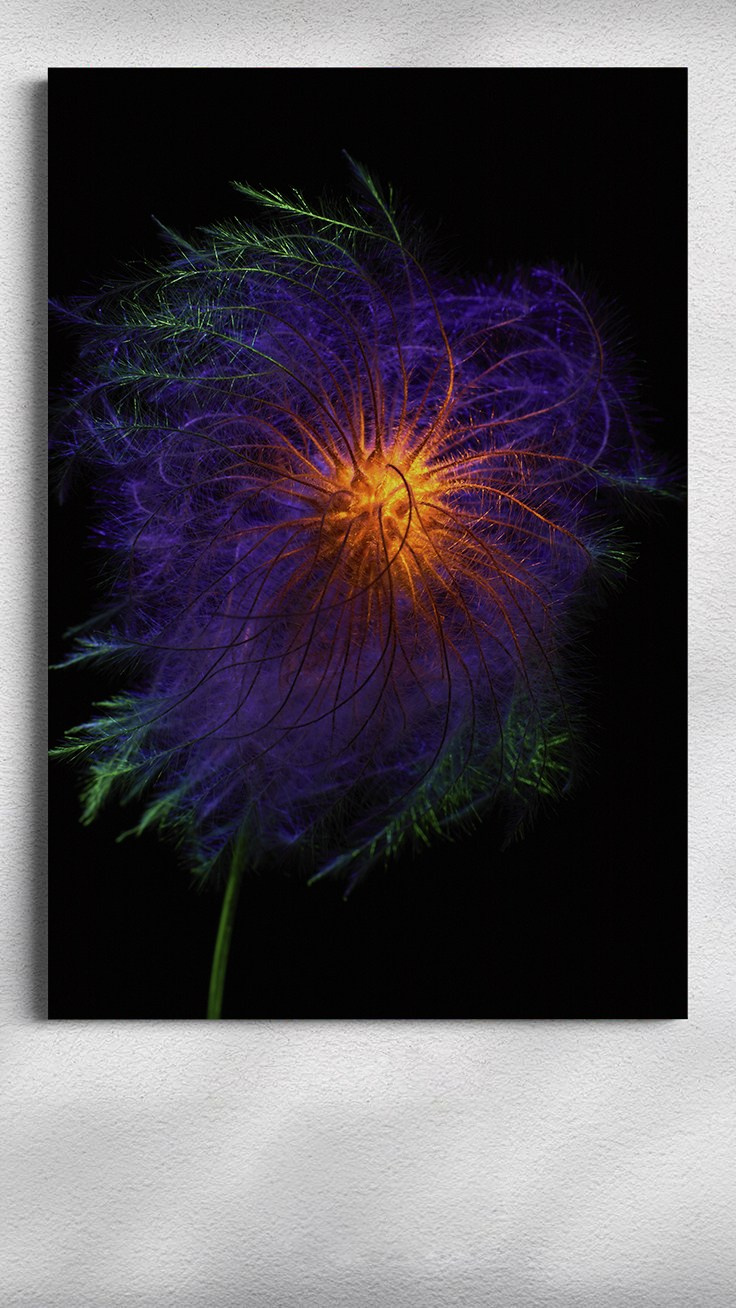 Приобрести. Арт-фотограф во Владивостоке Дмитрий Осипчук