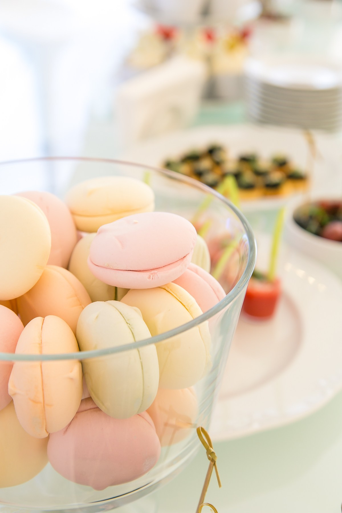 ДЕНЬ РОЖДЕНИЯ Конный клуб. Главная