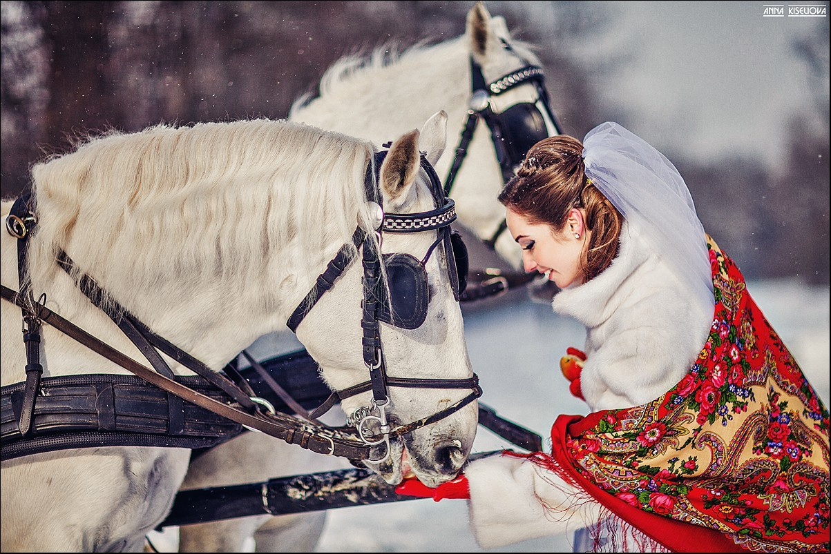 Ассорти 2013-2014. Фотограф в Санкт — Петербурге Анна Конофало