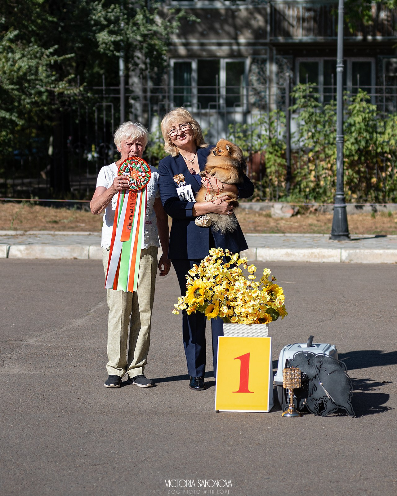 15 сентября 2024. Благовещенск. Монопородная выставка шпицев. Фотограф анималист Благовещенск. Сафонова Виктория
