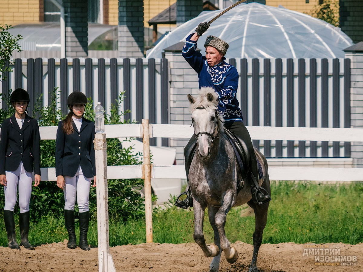 Скачки фаворитов 2024