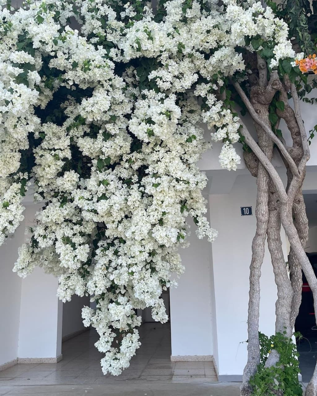 Распродажа курса: «Мобильная фотография». Алла Шевченко — продюсер — наставник