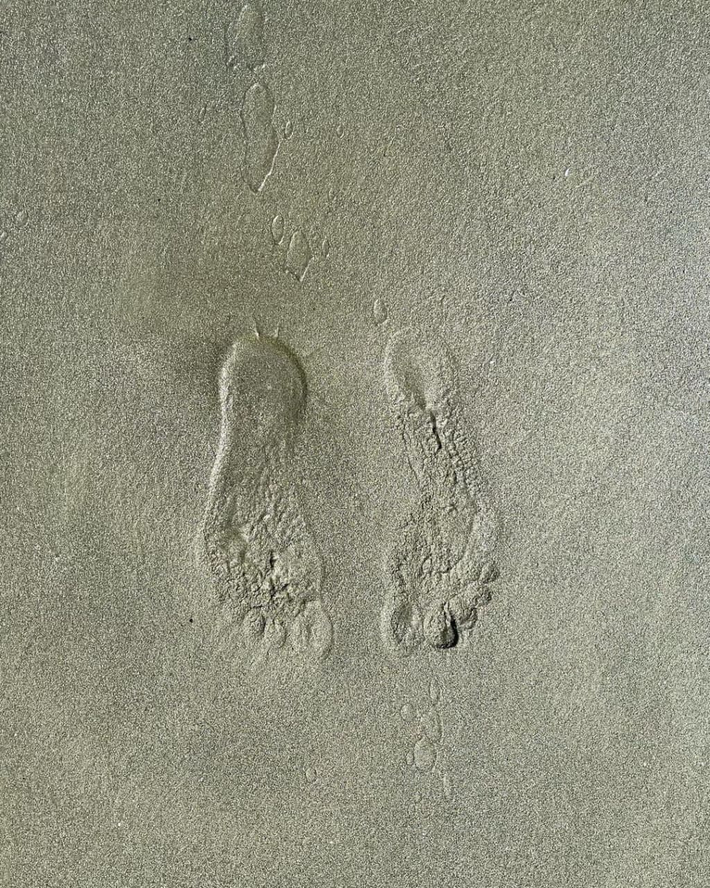 Распродажа курса: «Мобильная фотография». Алла Шевченко — продюсер — наставник