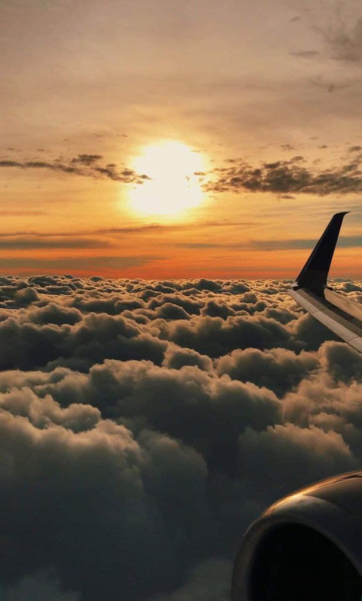 Распродажа курса: «Мобильная фотография». Алла Шевченко — продюсер — наставник