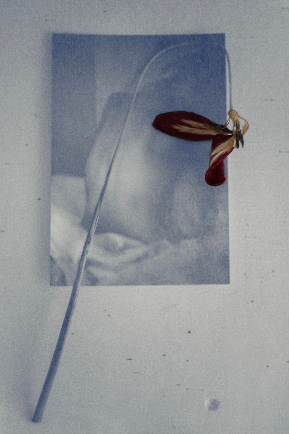 Яна Нортхен. Private image