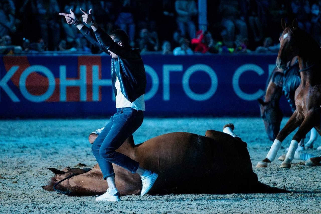 Иваново Поле — 2025. Куракина Дарья • Конный фотограф