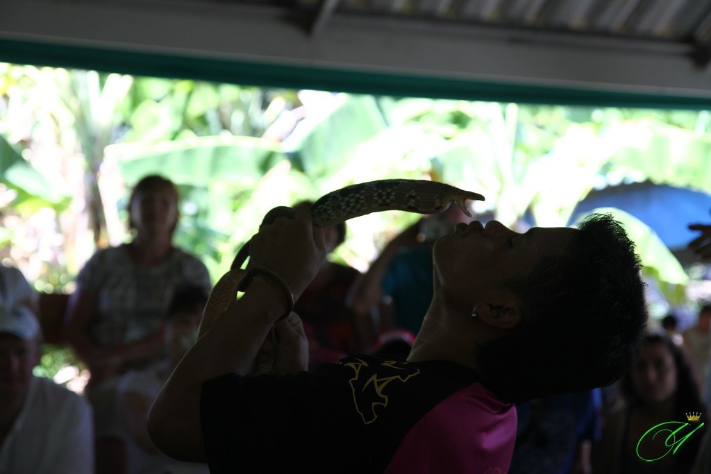 Тайланд. Пхукет 2013. Улица, люди, жизнь…