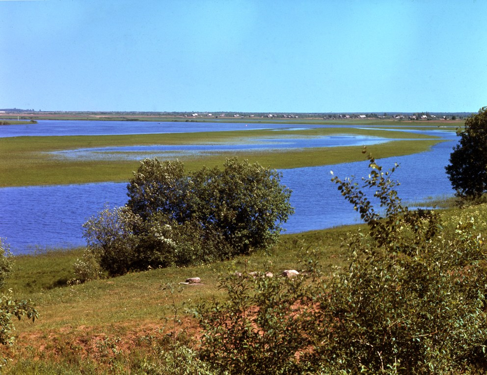 Лето. ВАДИМ ГИППЕНРЕЙТЕР — ВЕЛИКИЙ ФОТОГРАФ ЗЕМЛИ РУССКОЙ