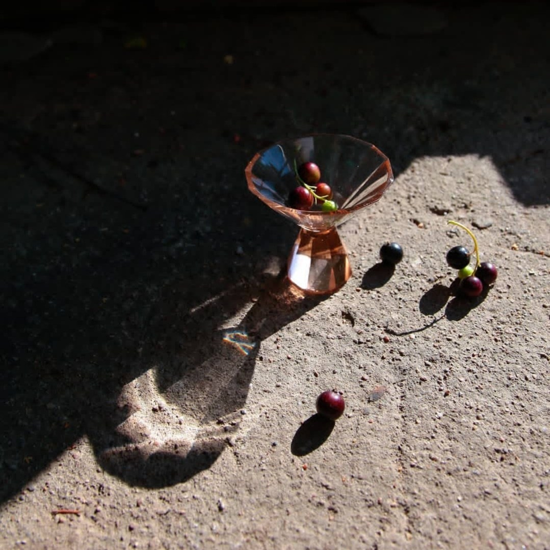 Натюрморт. Настасья Проценко. Фотограф