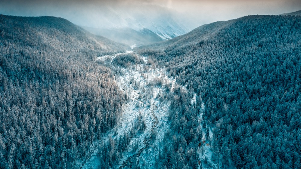 Aerial photography. Photographer Kirill Sergeev | Moscow