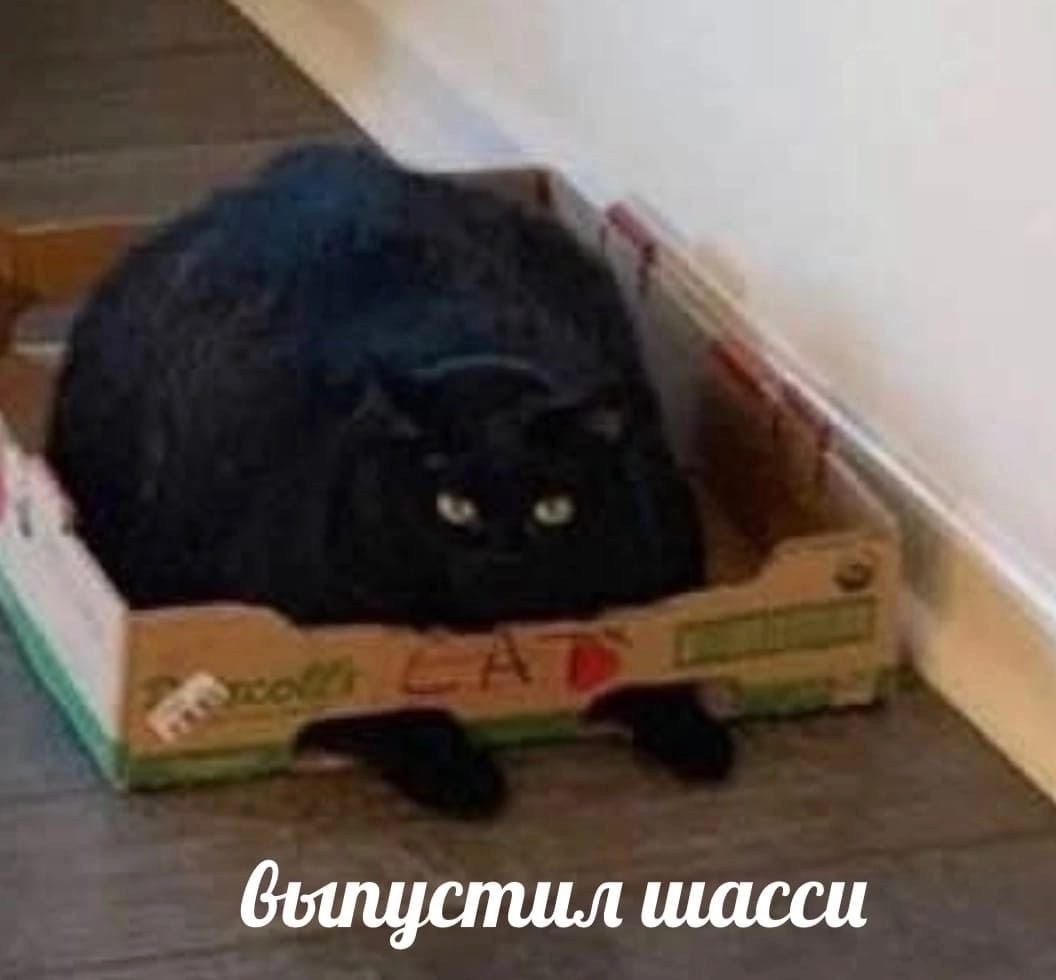 2025.08.20 Ярослав и Катя. Вова Вершинин - свадебный видеограф в Нижнем Новгороде, Москве и всей России