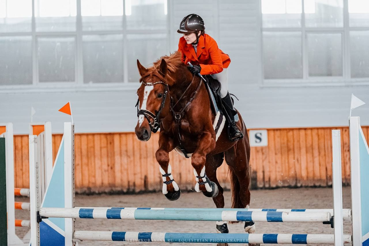ОСЕННИЙ КУБОК КСК «КОНКОРД» по КОНКУРУ. Куракина Дарья • Конный фотограф