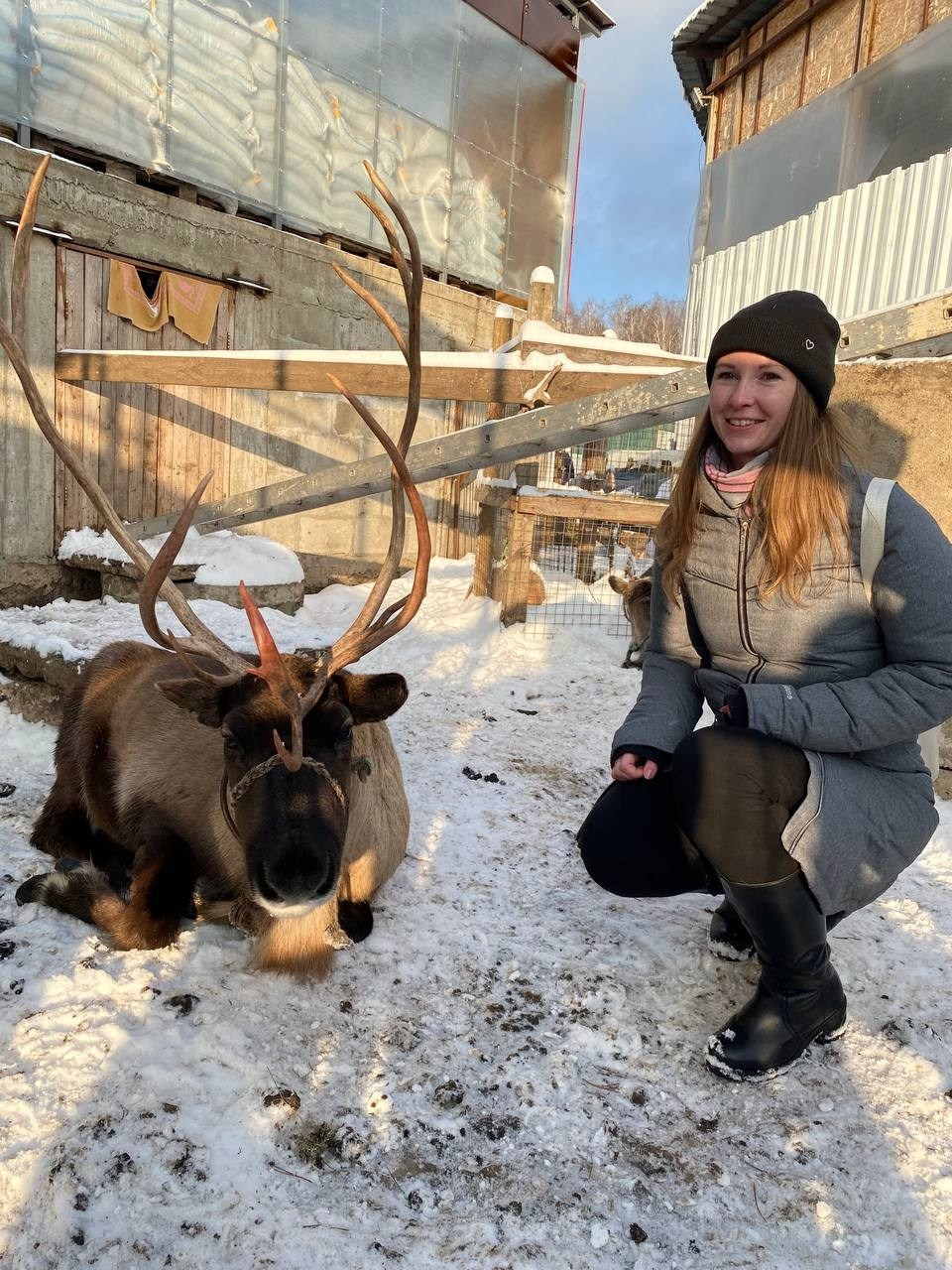 В гости к северным оленям | 02.12.2023. Галерея Фантим