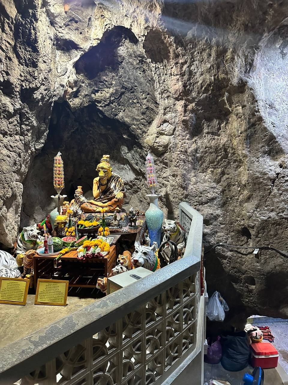 Таиланд | январь–февраль 2024. Галерея Фантим