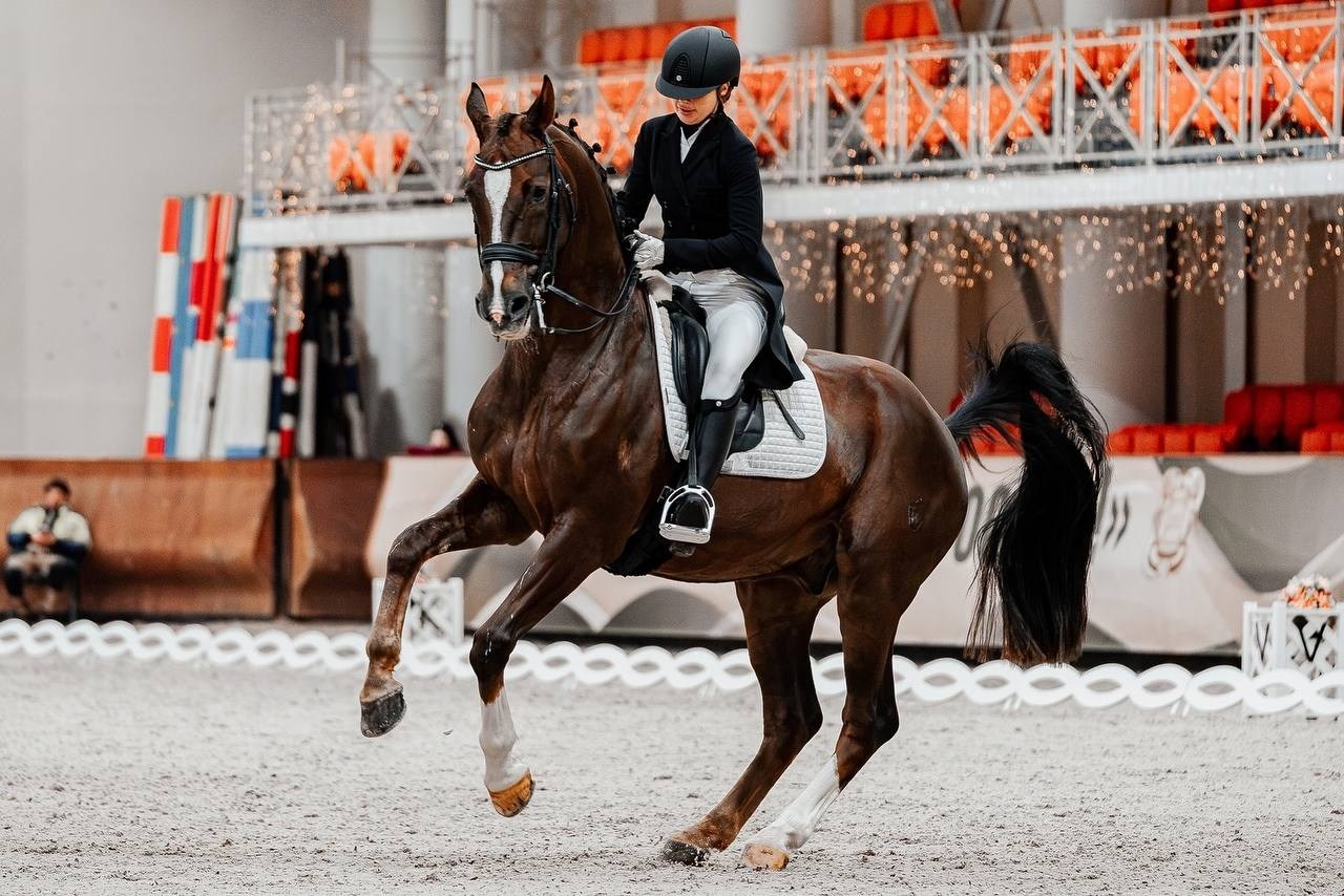 ЗИМНИЙ КУБОК ФКСМ по ВЫЕЗДКЕ. Куракина Дарья • Конный фотограф