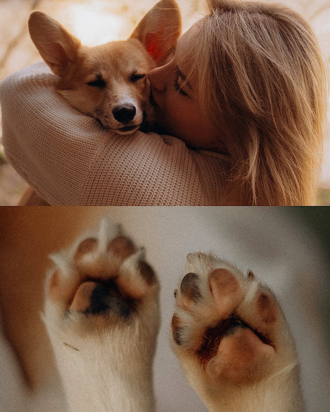 Катя и Берта. Фотограф анималист в Москве и Санкт-Петербурге Свиридова Анна