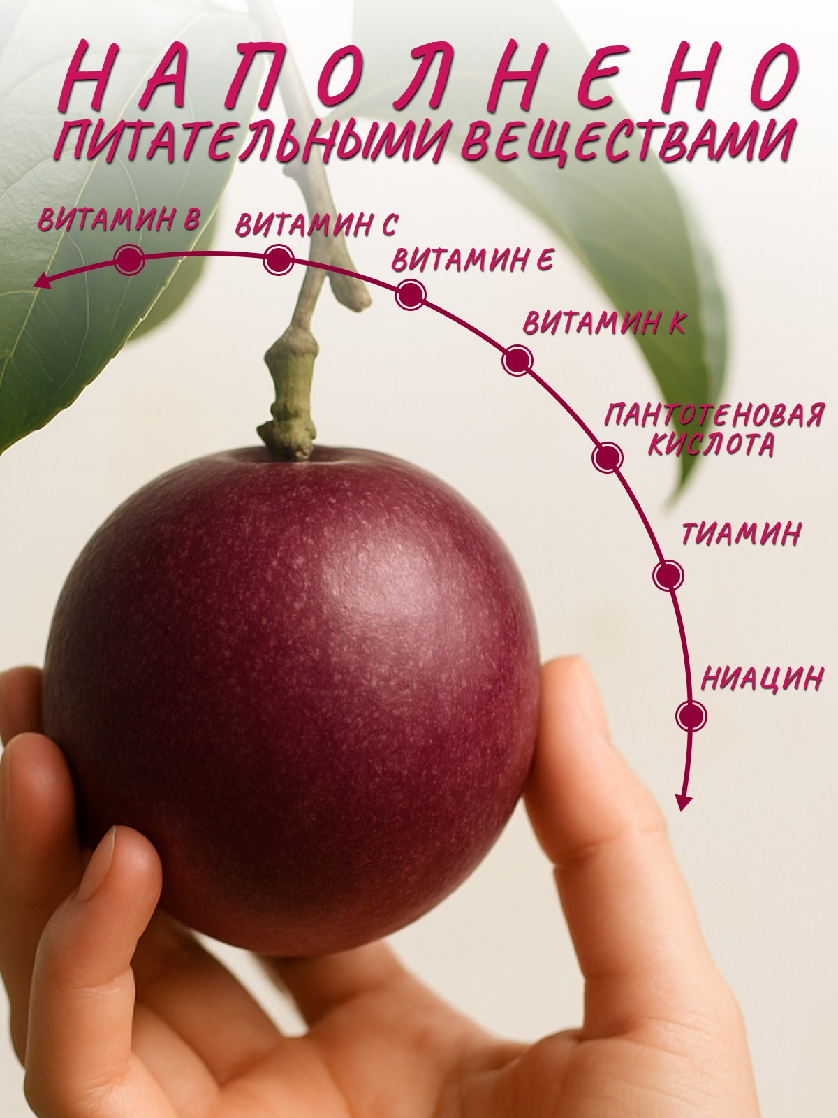 Сухофрукты. Diddesign — Фото видеосъемка, разработка уникальных логотипов, веб-дизайн, брендинг