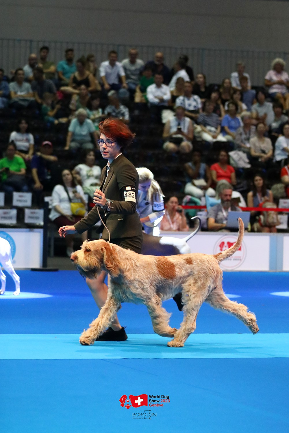 24-27.08.2023 WDS Geneva. Фотограф Дмитрий Бородин