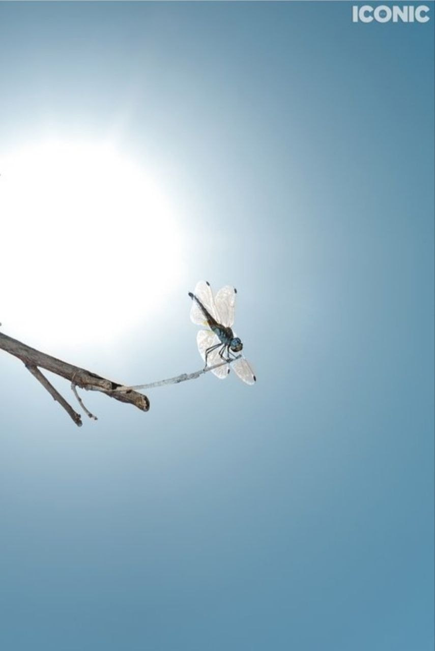 Работы студентов, курс «Вспышки» № 2