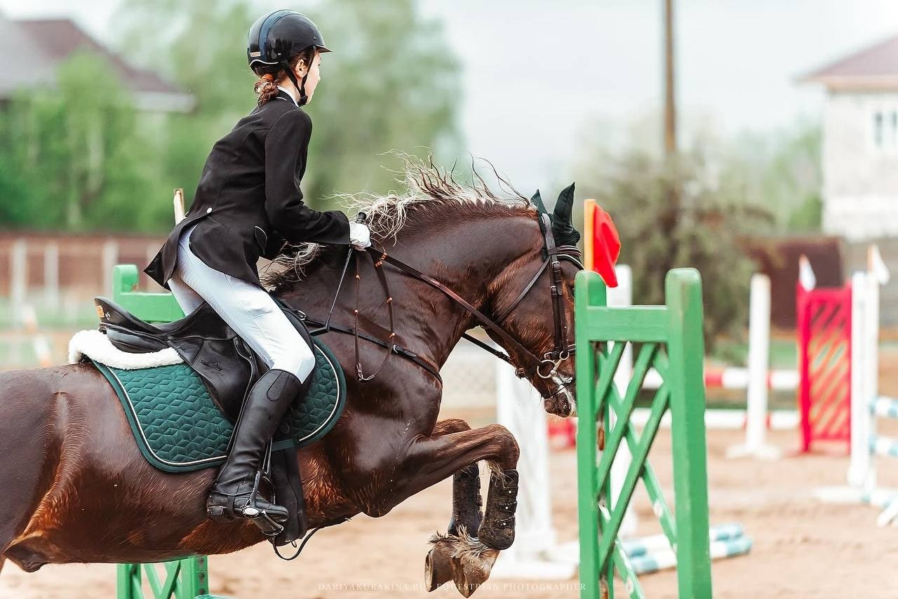 Весенний Кубок по конкуру КСК «Созвездие». Конный фотограф Куракина Дарья • Фотосессии с лошадьми