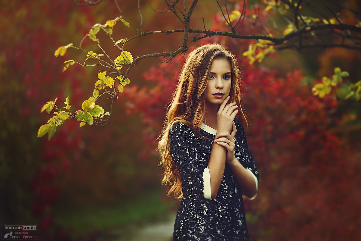 ПАРК, УЛИЦА