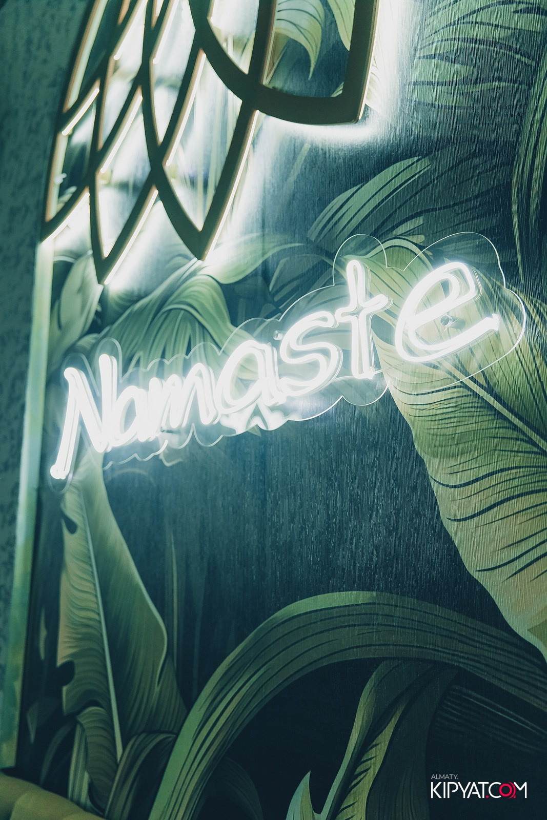 УХО И МЕДВЕДЬ НА КУРМАНГАЗЫ. КИПЯТКОМ АЛМАТЫ!