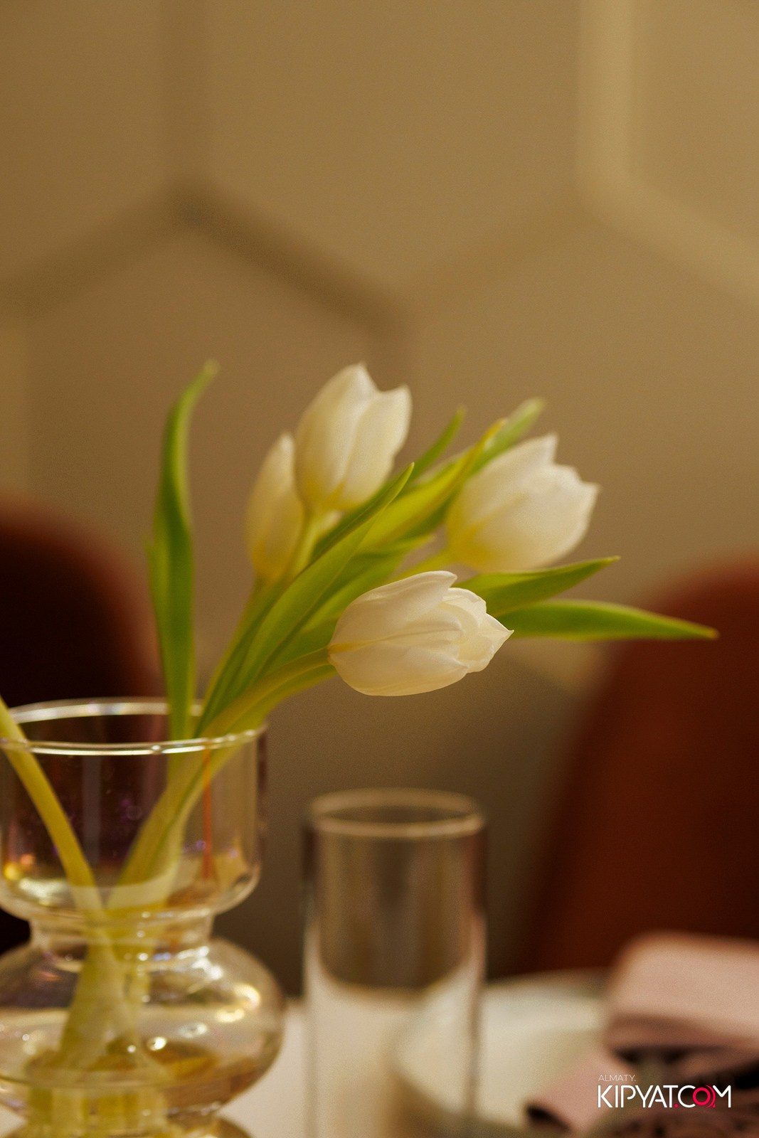 TITO ARCANUM. КИПЯТКОМ АЛМАТЫ! Фотосъемка мероприятий в Алматы