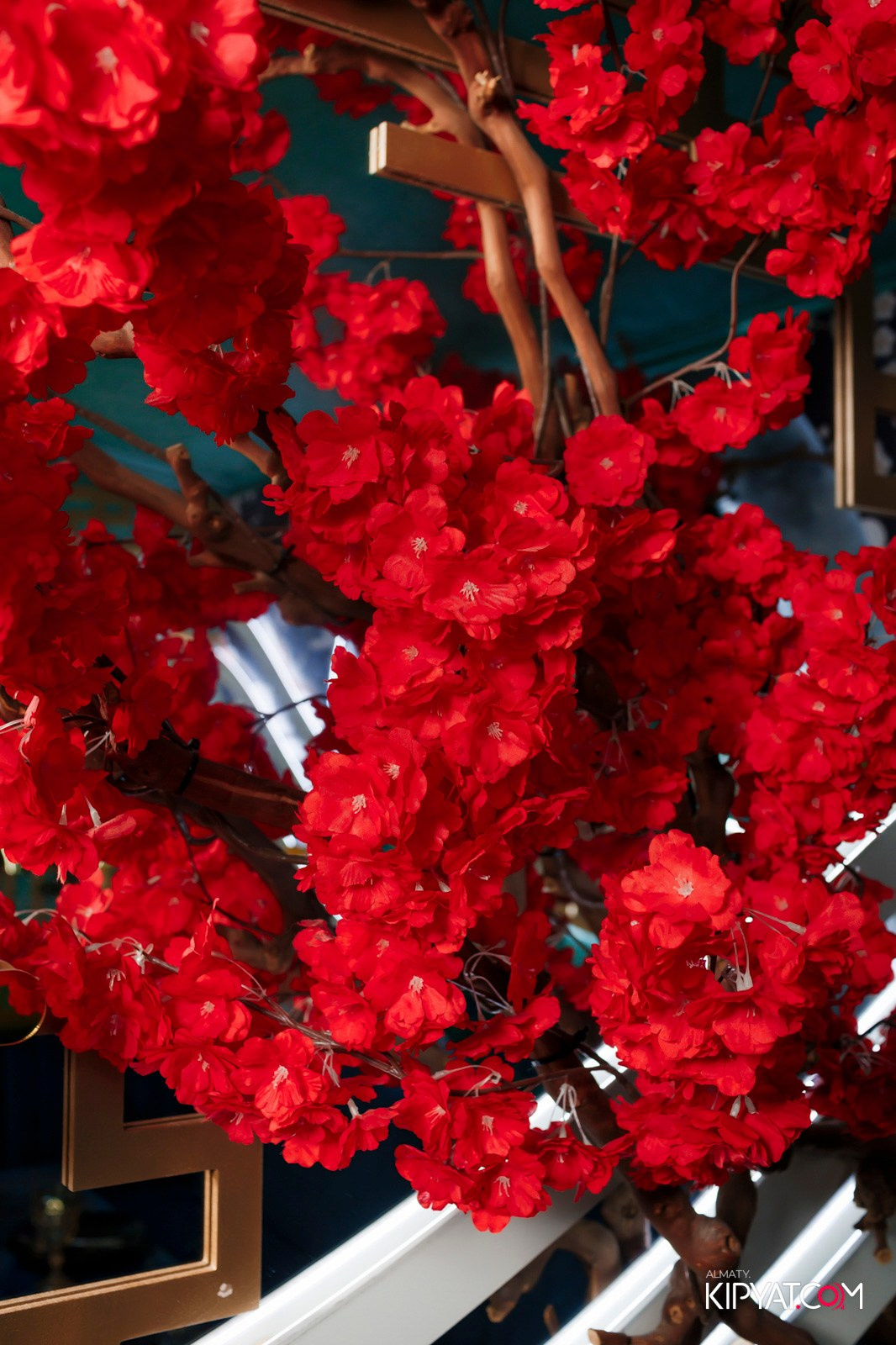 УХО И МЕДВЕДЬ НА ГАГАРИНА. КИПЯТКОМ АЛМАТЫ!