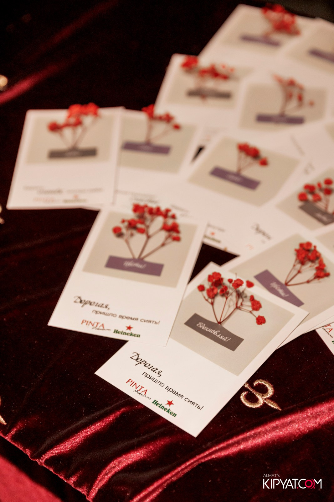 ПИНТА PREMIUM. КИПЯТКОМ АЛМАТЫ! Фотосъемка мероприятий в Алматы