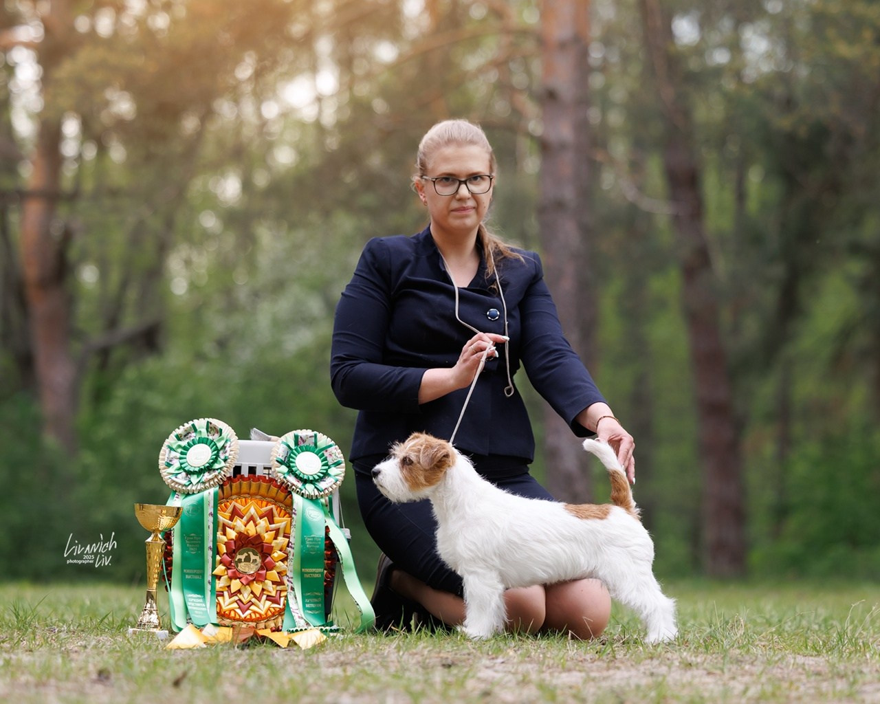 LOVELY-ORANGE JACKPOT. Lovely-Orange питомник джек рассел терьеров