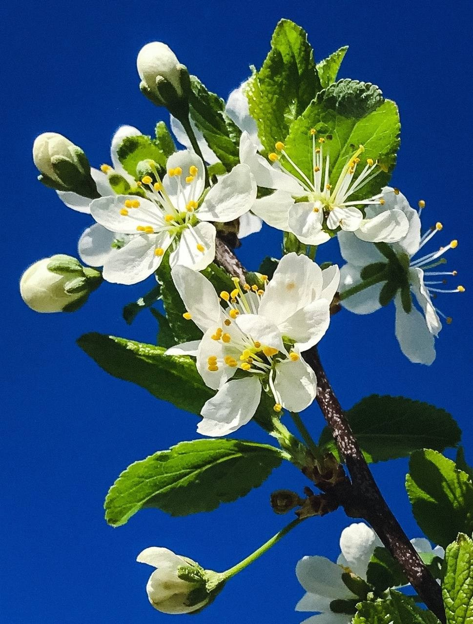 Взгляд сквозь объектив. Портретный фотограф город Уфа