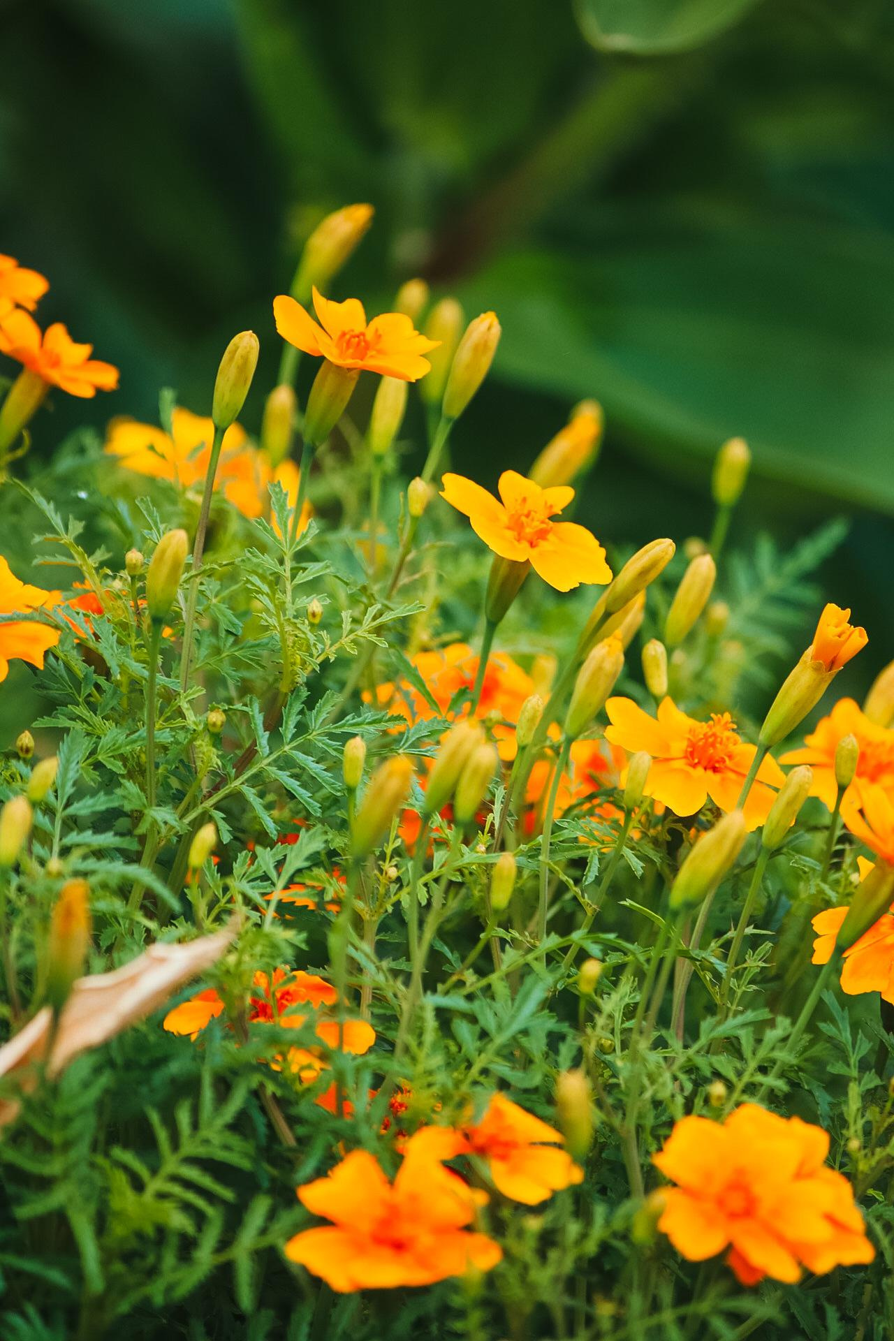 Фото для интерьера. Danna Dark. Фотограф | Красноярск