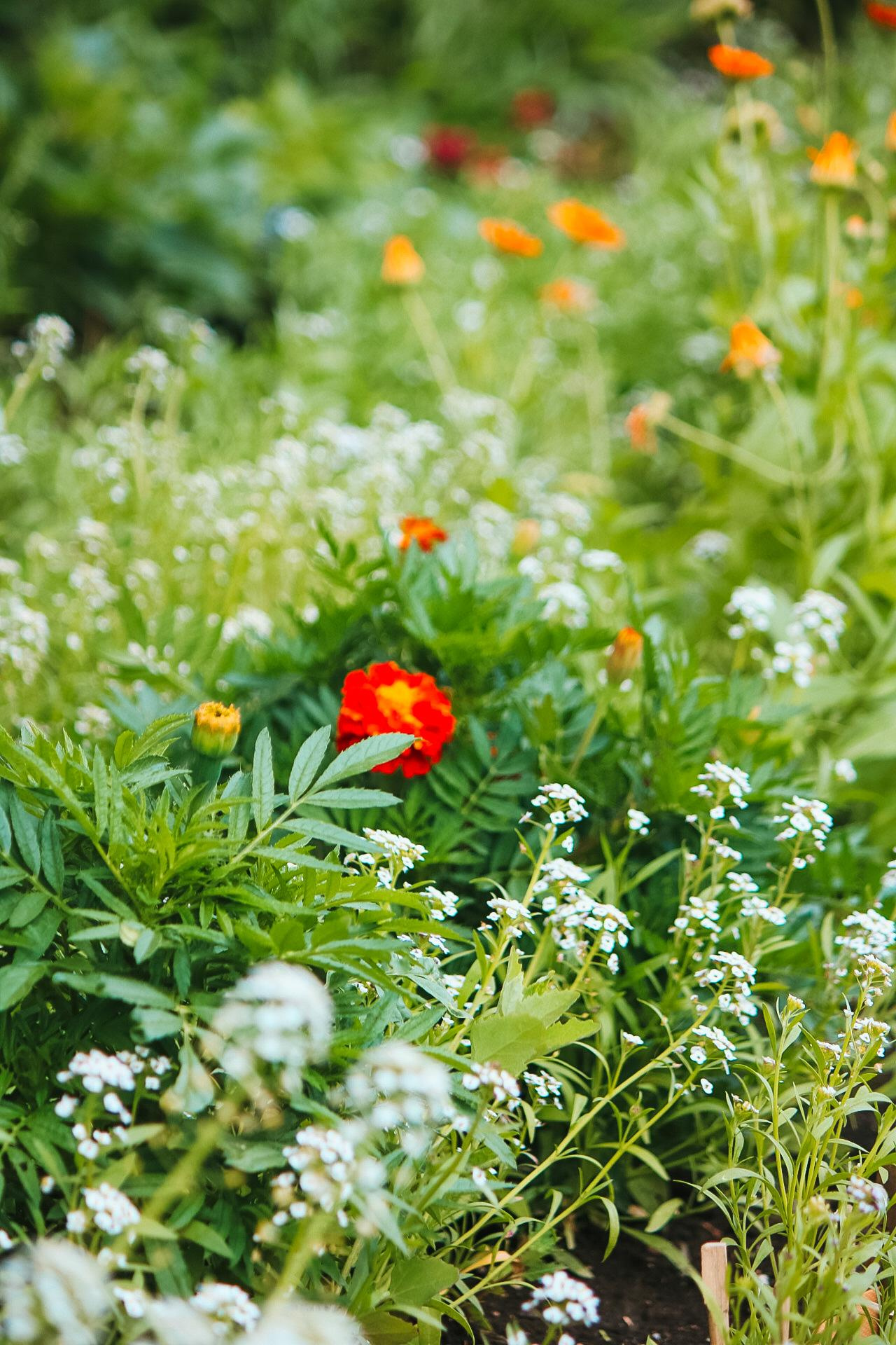 Фото для интерьера. Danna Dark. Фотограф | Красноярск