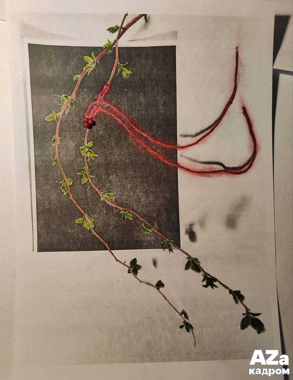 AZакадром «В поисках красного». Женский семейный фотограф Тула Москва Захарова Анна
