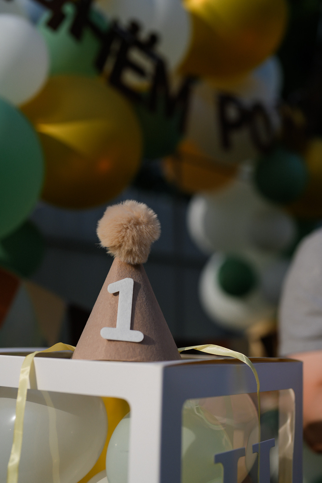 /День Рождение/ 1 годик Ника. 16.06.2023. Свадебный фотограф Великий Новгород Станислав Кособудский